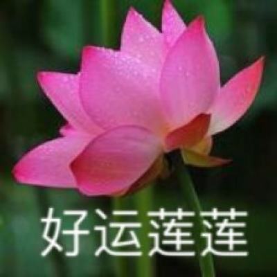 中青网评：人民法院护卫中国平安